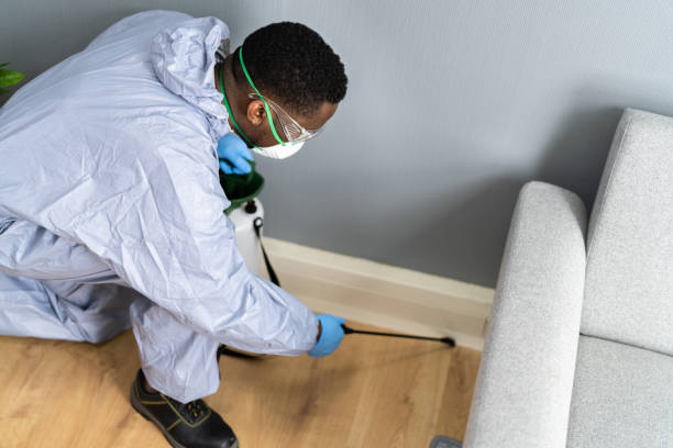 Best Residential Pest Control  in Carrollton, AL